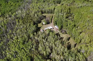1961 Town Road 118, Birchdale, MN 56629 - Photo 38