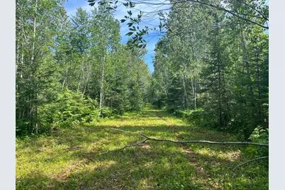 1961 Town Road 118, Birchdale, MN 56629 - Photo 18