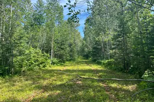1961 Town Road 118, Birchdale, MN 56629 - Photo 18