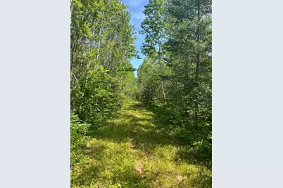 1961 Town Road 118, Birchdale, MN 56629 - Photo 1