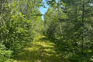1961 Town Road 118, Birchdale, MN 56629 - Photo 1