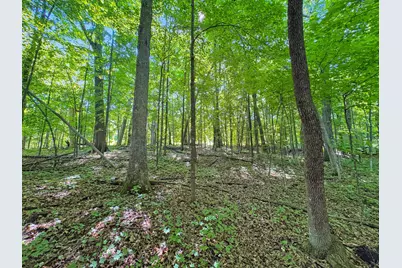 Tbd 85th Street, Frederic, WI 54837 - Photo 10