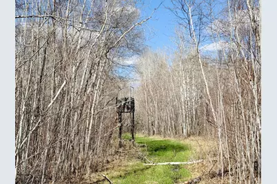 Tbd Nature Avenue, Palisade, MN 56469 - Photo 1
