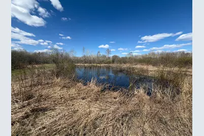Tbd Nature Avenue, Palisade, MN 56469 - Photo 12