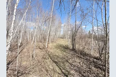 Tbd Nature Avenue, Palisade, MN 56469 - Photo 8