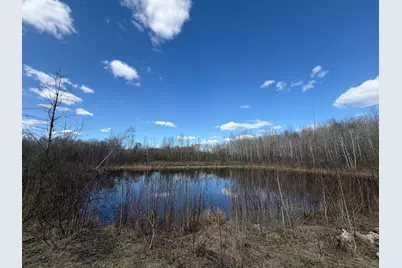 Tbd Nature Avenue, Palisade, MN 56469 - Photo 30
