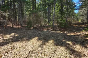 34857 Dinner Lake Loop, Park Rapids, MN 56470 - Photo 52