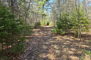 34857 Dinner Lake Loop, Park Rapids, MN 56470 - Photo 50