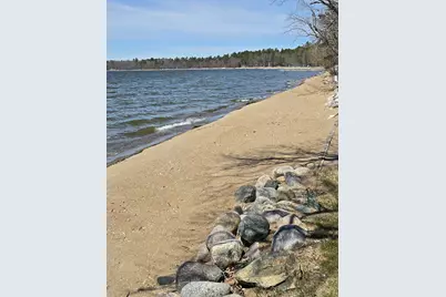 6315 Lavinia Road NE, Bemidji, MN 56601 - Photo 4