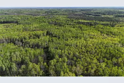 Tbd Town Road 118, Birchdale, MN 56629 - Photo 1