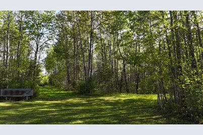 Tbd Town Road 118, Birchdale, MN 56629 - Photo 2