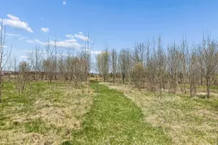 13556 355th St, Lindstrom, MN 55045 - Photo 48