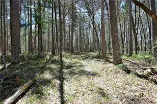 W8096 Dunn Lake Rd, Spooner, WI 54801 - Photo 18