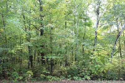 000 St Croix Trail, Taylors Falls, MN 55084 - Photo 2