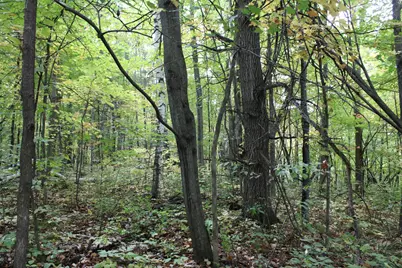 000 St Croix Trail, Taylors Falls, MN 55084 - Photo 2