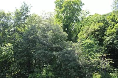 000 St Croix Trail, Taylors Falls, MN 55084 - Photo 4