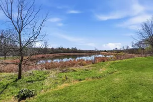 171 Lakeview Dr, Spicer, MN 56288 - Photo 12