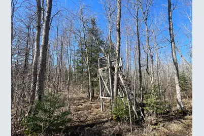 Tbd Cormorant Road NE, Kelliher, MN 56650 - Photo 22
