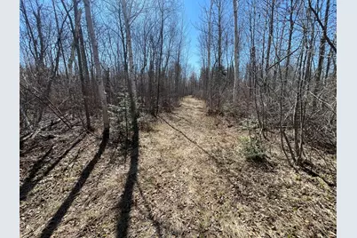 Tbd Cormorant Road NE, Kelliher, MN 56650 - Photo 60
