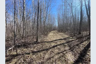 Tbd Cormorant Road NE, Kelliher, MN 56650 - Photo 26