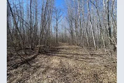 Tbd Cormorant Road NE, Kelliher, MN 56650 - Photo 24