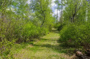 16504 280th St, Park Rapids, MN 56470 - Photo 14