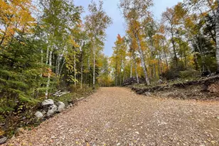 5441 Ely Island N, Tower, MN 55790 - Photo 24
