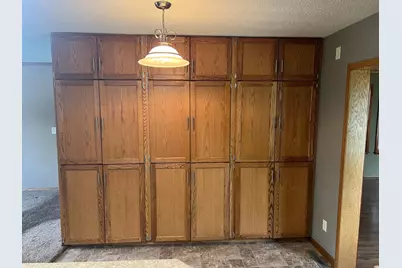 129 Nelson Street E, Litchfield, MN 55355 - Photo 50