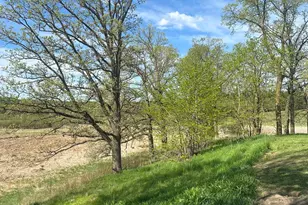 16166 510 Ave, Menahga, MN 56464 - Photo 6