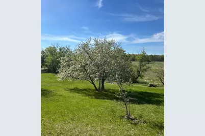 16166 510th Avenue, Menahga, MN 56464 - Photo 1