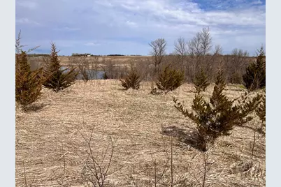 Lot 6 215th Street, Barrett, MN 56311 - Photo 1