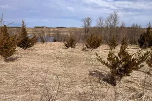 Lot 6 215th St, Barrett, MN 56311 - Photo 1