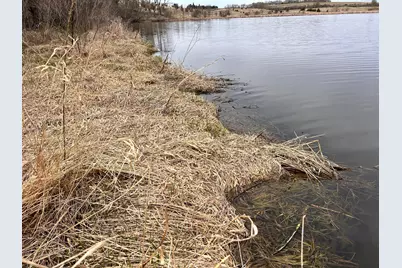 Lot 6 215th Street, Barrett, MN 56311 - Photo 6