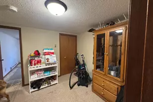 809 10th St S, Sauk Centre Township, MN 56378 - Photo 28