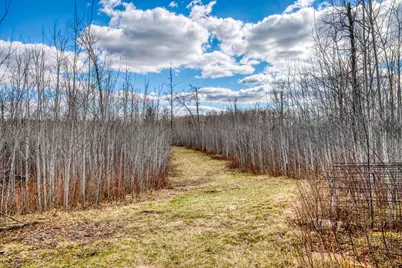 11005 320th Street, Park Rapids, MN 56470 - Photo 60