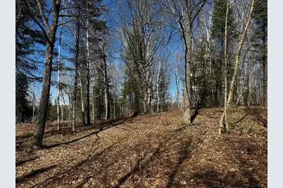 417 Barrel Road, Ely, MN 55731 - Photo 8