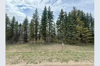 Xxx 245th Ave, Glenwood, MN 56334 - Photo 2
