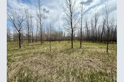 Xxx 245th Ave, Glenwood, MN 56334 - Photo 8