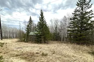 1656 78th Ave NW, Williams, MN 56686 - Photo 2