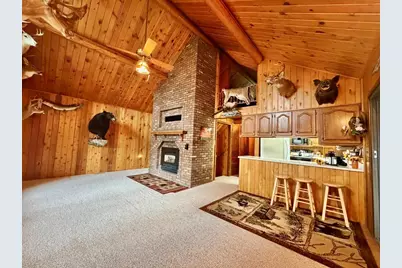 10261 Wien Road, Cook, MN 55723 - Photo 16
