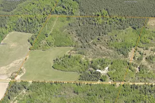 10261 Wien Rd, Cook, MN 55723 - Photo 58