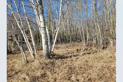 Tbd Sandy Shores Drive NW, Williams, MN 56686 - Photo 6