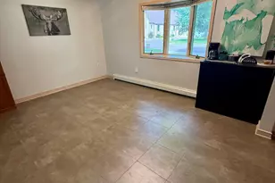 31 Lake Ave E, Minnesota Lake, MN 56068 - Photo 6