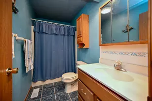 213 Sunset Ave NW, Altura, MN 55910 - Photo 16