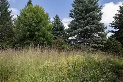 6 Robb Farm Road, North Oaks, MN 55127 - Photo 48