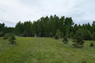 11856 Hwy 1, Cook, MN 55723 - Photo 2