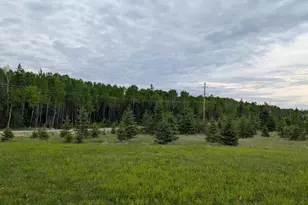 11856 Hwy 1, Cook, MN 55723 - Photo 16