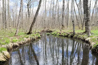 0000 West Eckel Lane, Exeland, WI 54835 - Photo 26