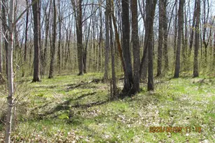 33071 Holly Rd, Pine City, MN 55063 - Photo 46