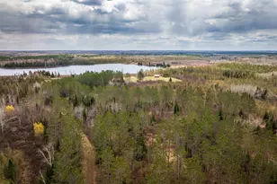 93001 Delong Rd, Wrenshall, MN 55749 - Photo 8
